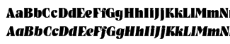 Font: Nashville Font Family (2 fonts)